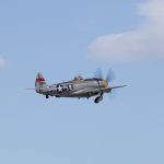 Parkzone P-47D Thunderbolt PNP - PKZ5375